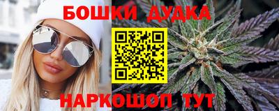 твердый Кингисепп