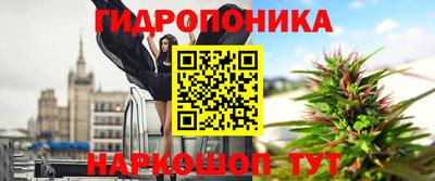 твердый Кингисепп