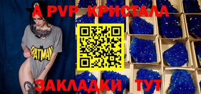 твердый Кингисепп