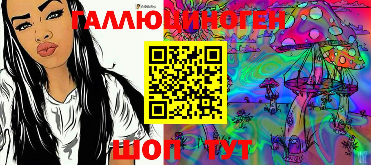 Псилоцибиновые грибы прущие грибы  Вход с VPN  Красноуфимск 